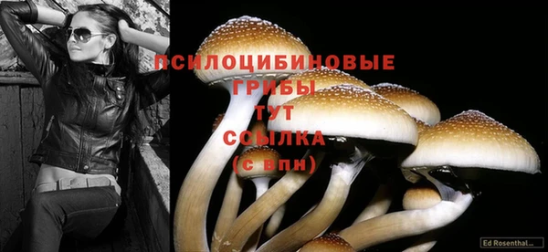 винт Армянск