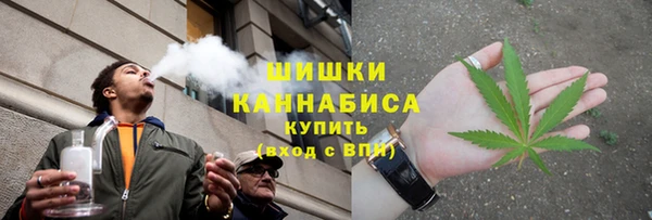 амф Аркадак