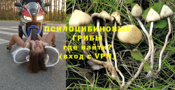 марки nbome Инта