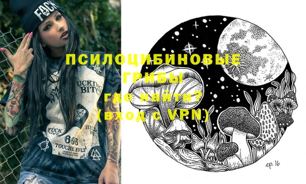 винт Армянск