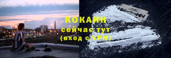 прущая мука Арсеньев