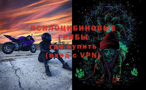 амф Аркадак