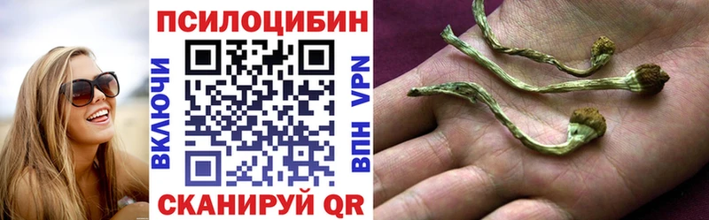 Галлюциногенные грибы прущие грибы  Гатчина 